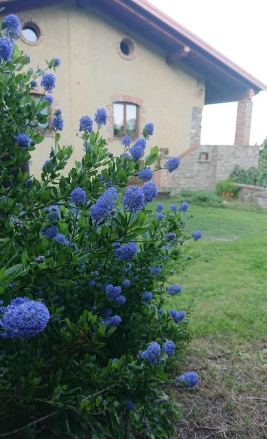 B&B La Casa Dei Cuori Millesimo Kültér fotó